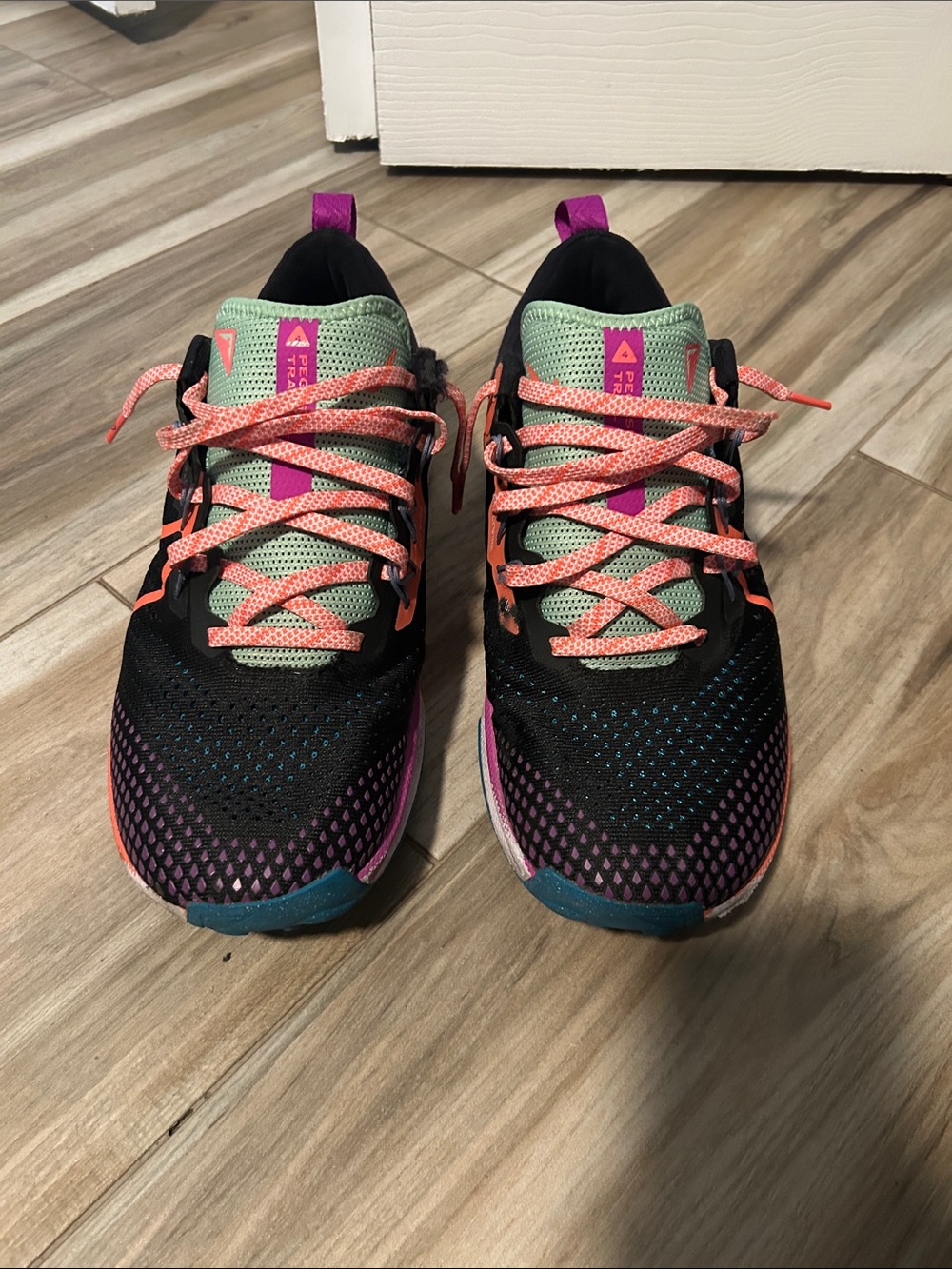 Nike Pegasus - Athletic/Hiking Sneakers